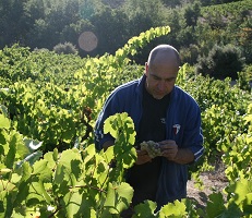 Les Clos Perdus