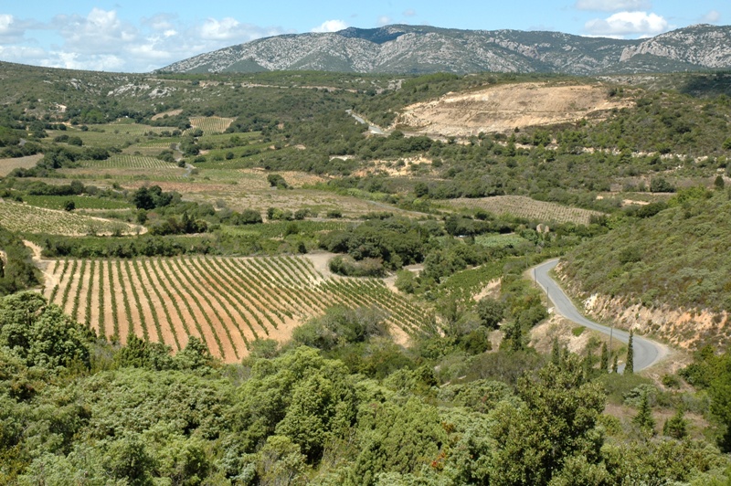 Appellation GARD BLANC IGP