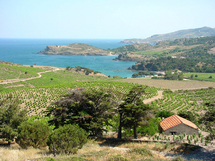 Appellation COLLIOURE AOP