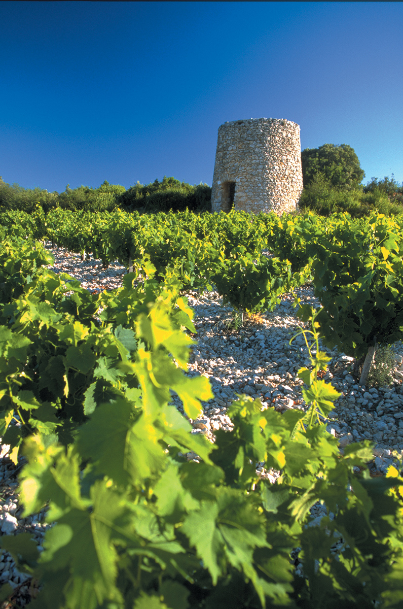 Appellation MUSCAT DE SAINT JEAN DE MINERVOIS