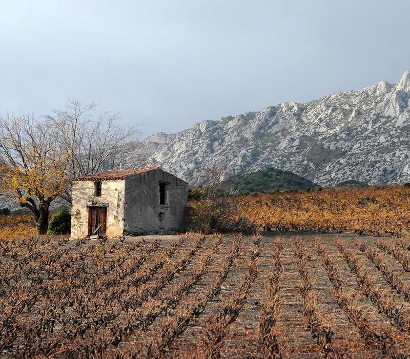 Appellation MAURY DOUX AOP